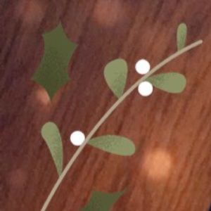 Meet your Posher, Katelyn